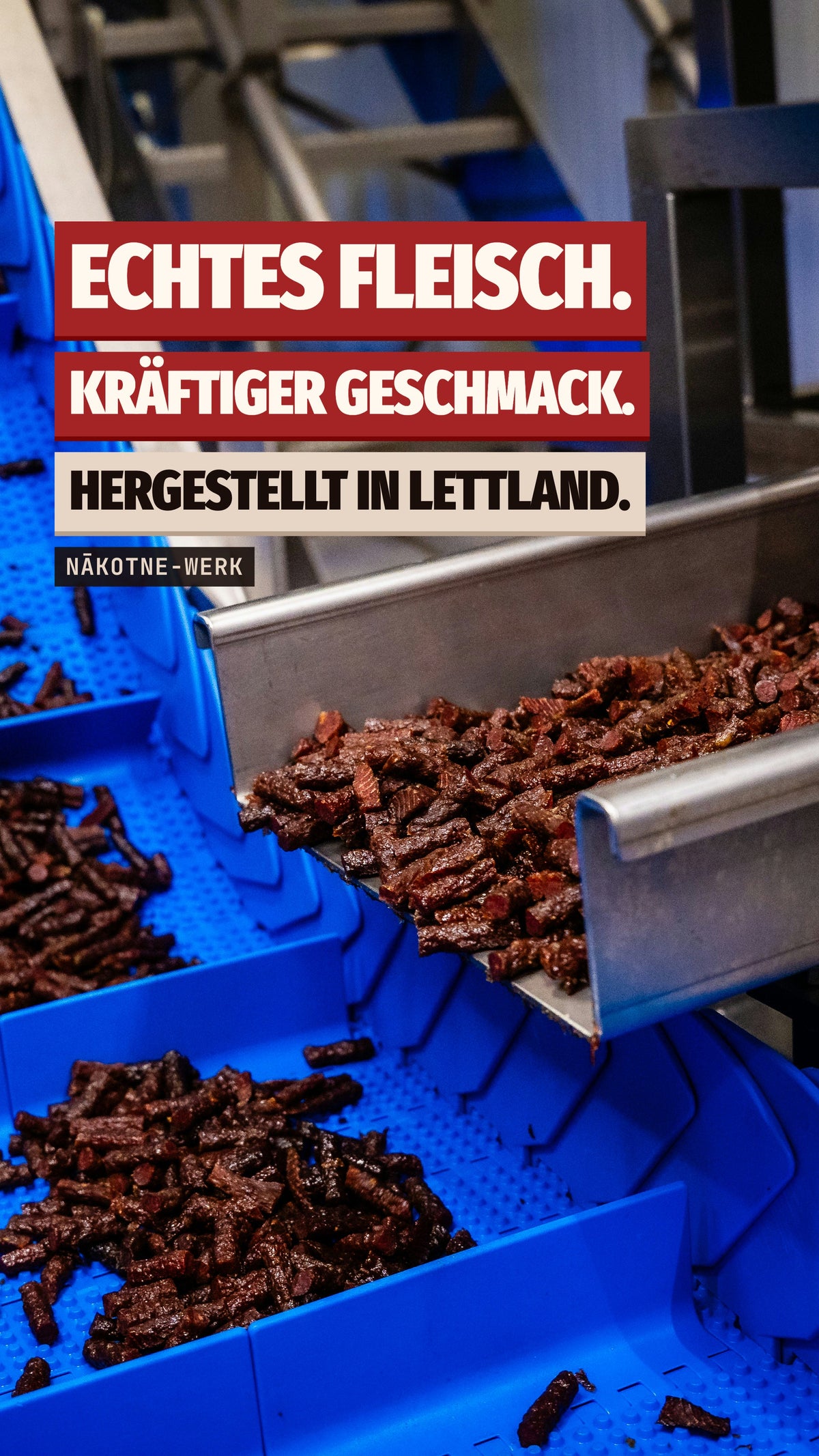 thejerky.world — site promo 9x16 (de)